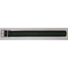Casio PRW-6000SG-3, PRW-3100G-3 Watch Strap Band 10510212